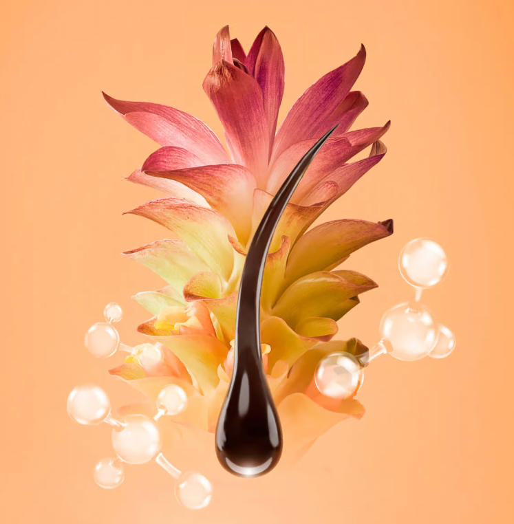 Noviful – Advanced Hair Growth Solutions | Natural & Effective – NOVIFUL SA